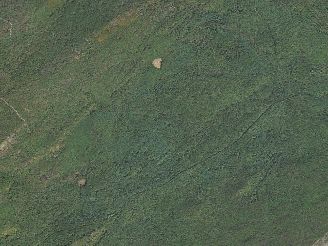 Aerial image of Michaux State Forest roadside campsite 005 Sawmill