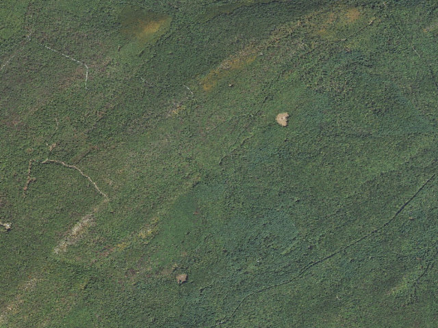 Aerial image of Michaux State Forest roadside campsite 007 Woodrow