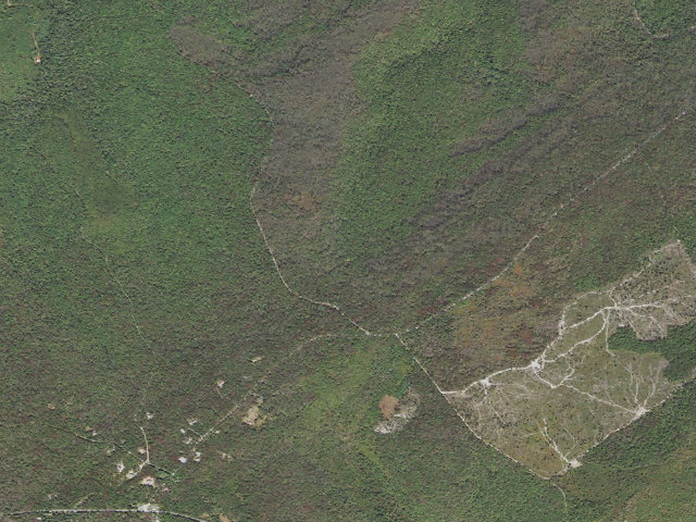 Aerial image of Michaux State Forest roadside campsite 008 Hairy Springs
