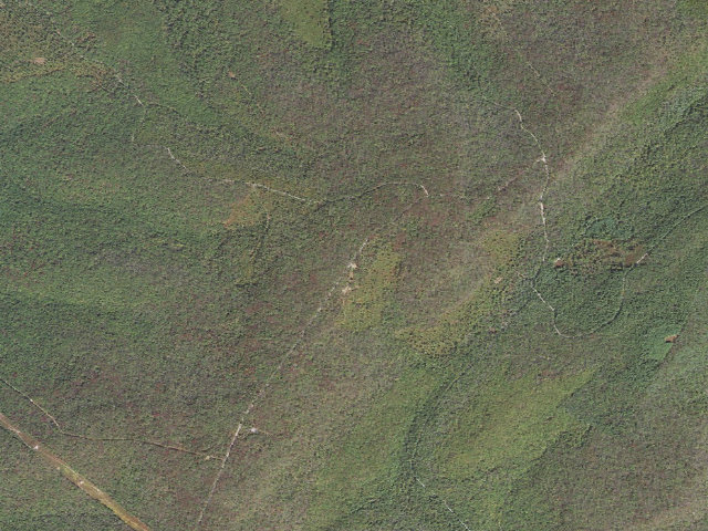 Aerial image of Michaux State Forest roadside campsite 009 Haunted Hollow