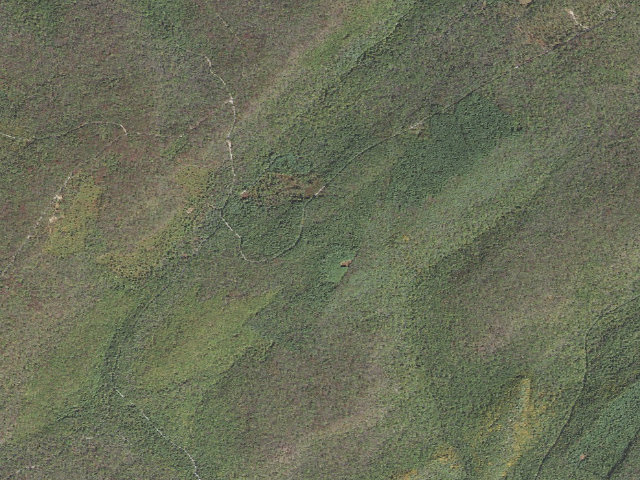Aerial image of Michaux State Forest roadside campsite 010 Flatrock Plantation