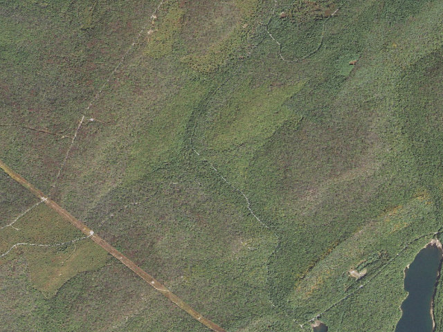 Aerial image of Michaux State Forest roadside campsite 011 Old Dutch Camp