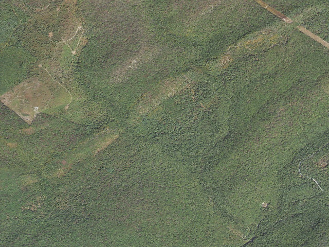 Aerial image of Michaux State Forest roadside campsite 012 Honnas Bank