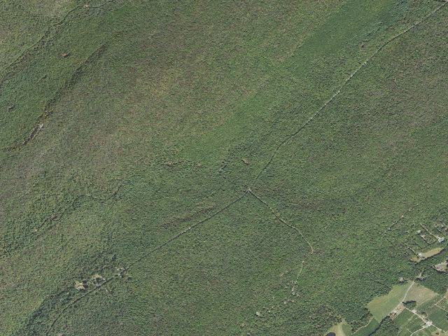 Aerial image of Michaux State Forest roadside campsite 013 EUB Camp