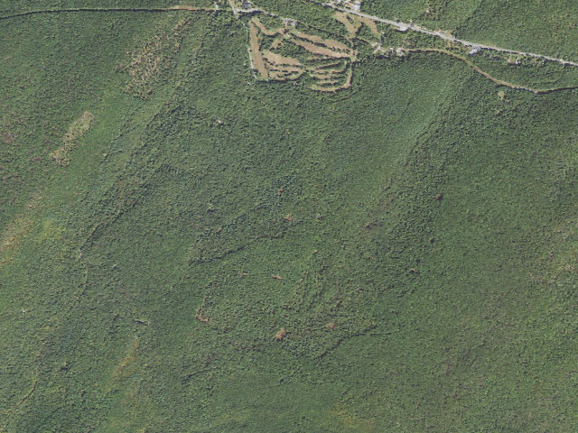 Aerial image of Michaux State Forest roadside campsite 014 Poplar Cove