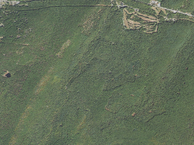 Aerial image of Michaux State Forest roadside campsite 016 Corls Road