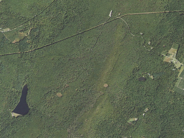 Aerial image of Michaux State Forest roadside campsite 018 Green Ridge