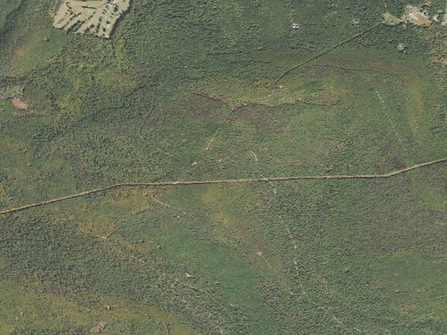 Aerial image of Michaux State Forest roadside campsite 019 Snowy Mountain