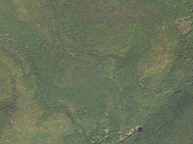 Aerial image of Michaux State Forest roadside campsite 020 Briar Mountain