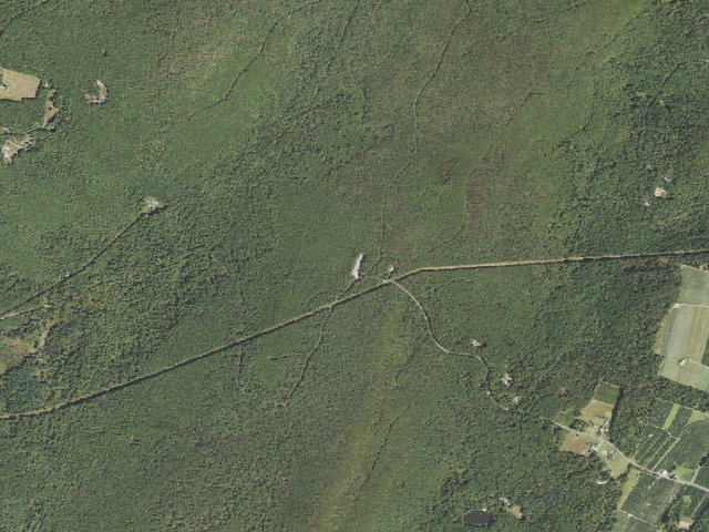 Aerial image of Michaux State Forest roadside campsite 021A