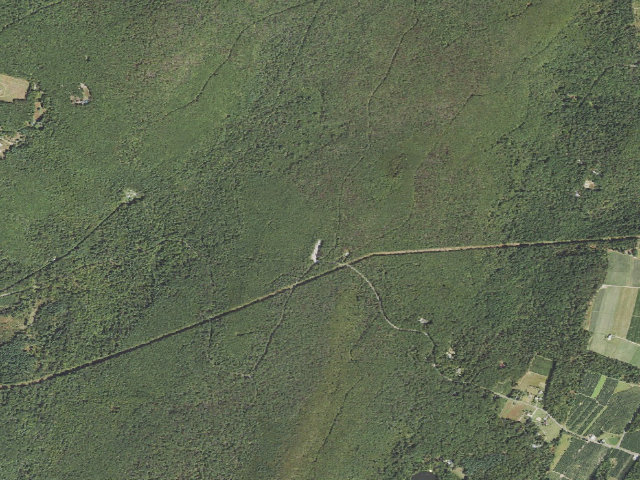 Aerial image of Michaux State Forest roadside campsite 021D