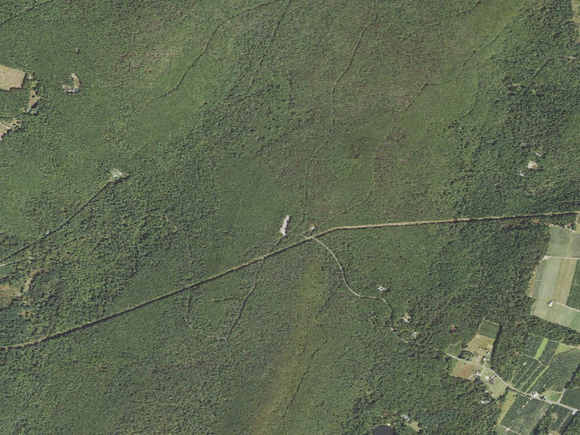 Aerial image of Michaux State Forest roadside campsite 021E