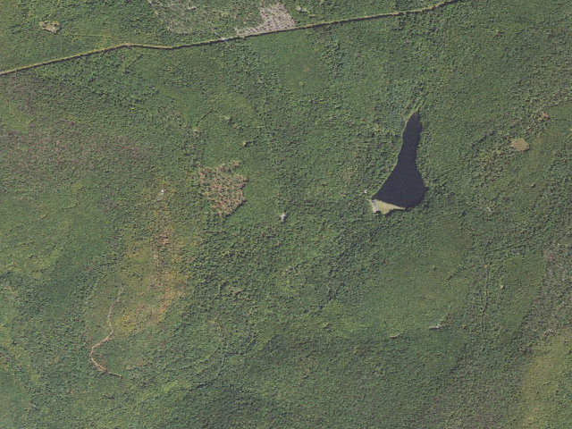 Aerial image of Michaux State Forest roadside campsite 022A