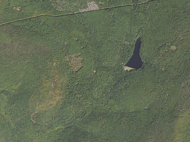 Aerial image of Michaux State Forest roadside campsite 022A (Peggy's Hill Parking Area)