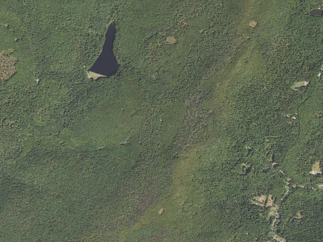 Aerial image of Michaux State Forest roadside campsite 023 Woodchuck