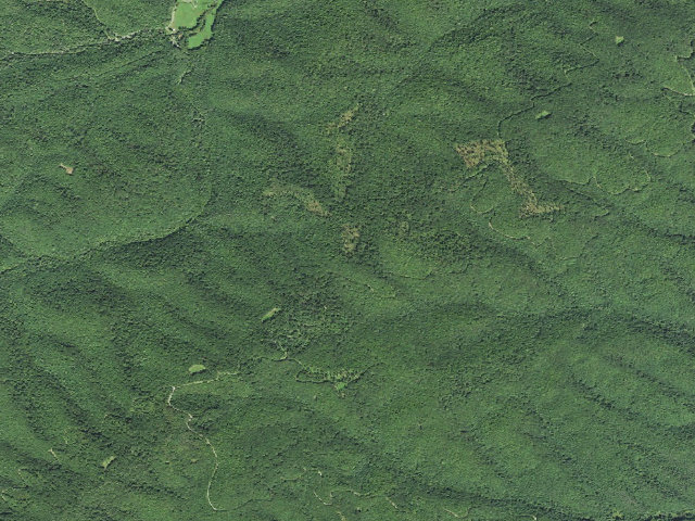 Aerial image of Middle Mountain Shelter
