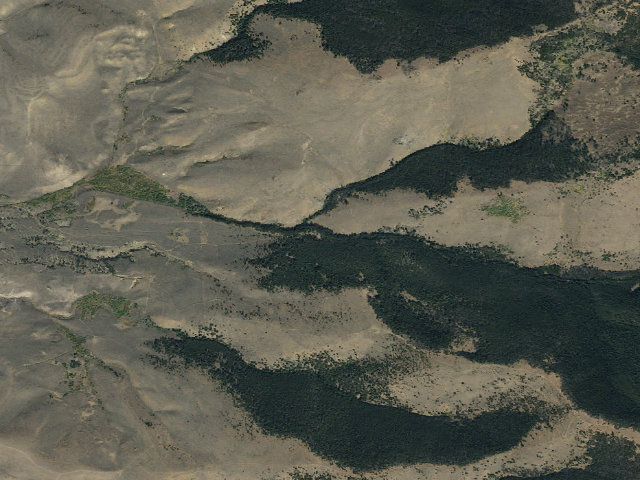 Aerial image of Middle