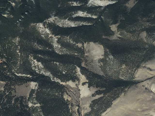 Aerial image of Middle Of Trees