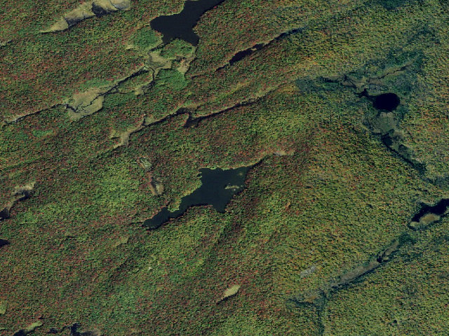 Aerial image of Middle Settlement Lake Designated Campsite [DEC #18825] (Ha-De-Ron-Dah Wilderness)