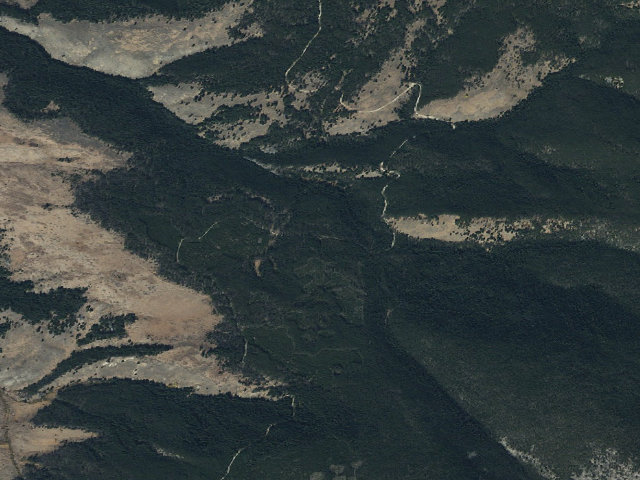 Aerial image of Middle Tree