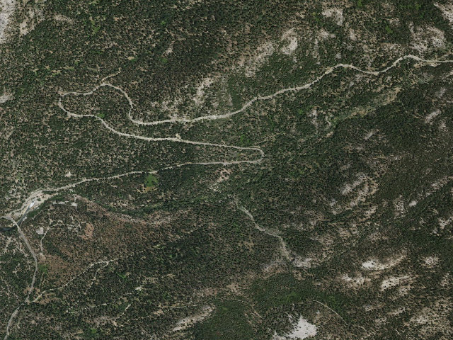 Aerial image of Midge Creek Group Campground