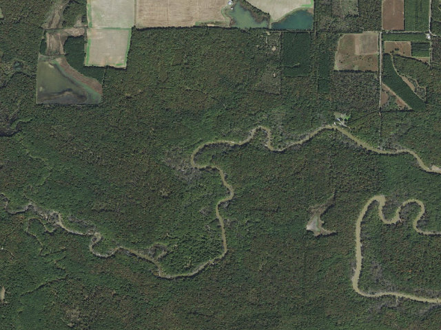 Aerial image of Mike Freeze Wattensaw WMA Float Camp Campsite