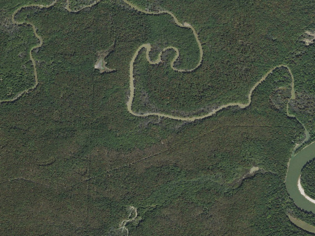 Aerial image of Mikes Freeze Wattensaw WMA Hall's Camping Area