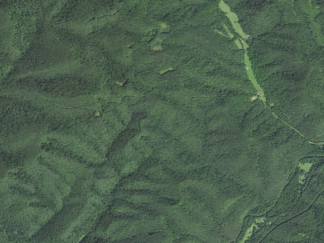 Aerial image of Mikes Run Shelter