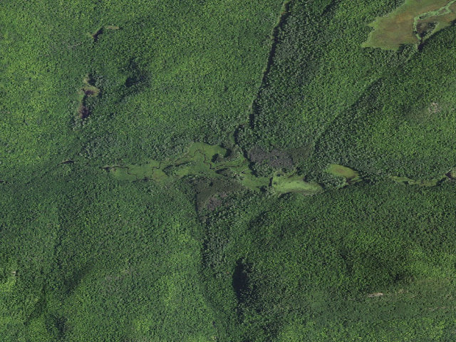 Aerial image of Mill Brook Site #1 (Pharaoh Lake Wilderness)