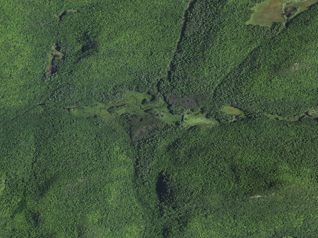 Aerial image of Mill Brook Site #2 (Pharaoh Lake Wilderness)