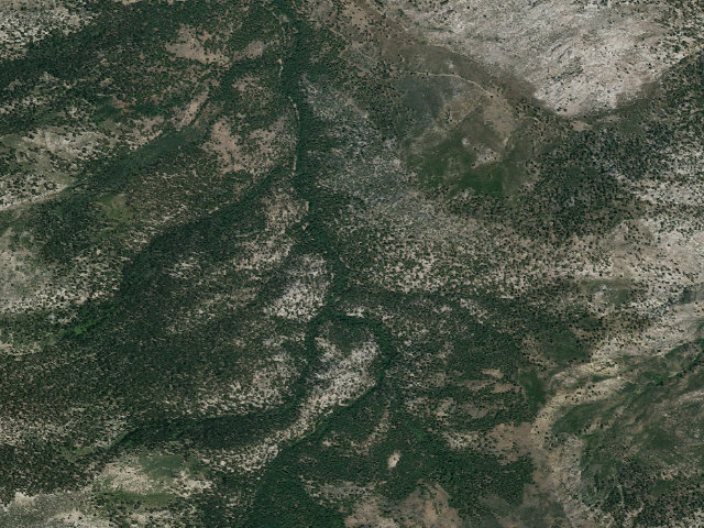 Aerial image of Mill Canyon