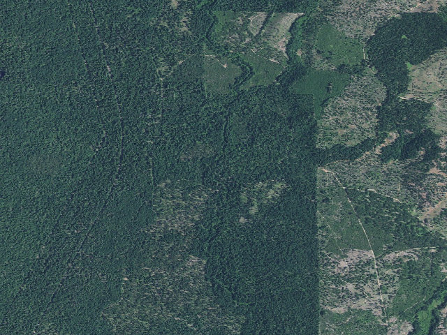 Aerial image of Mill Creek Campground USFS
