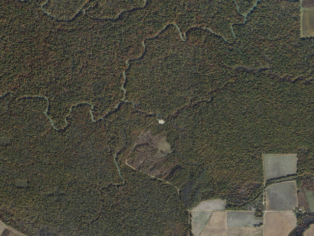 Aerial image of Mill Lake Camping Area