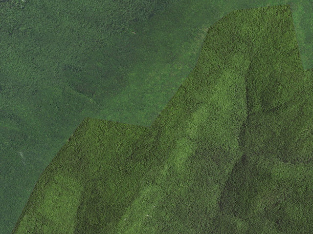 Aerial image of Mill Mountain Shelter