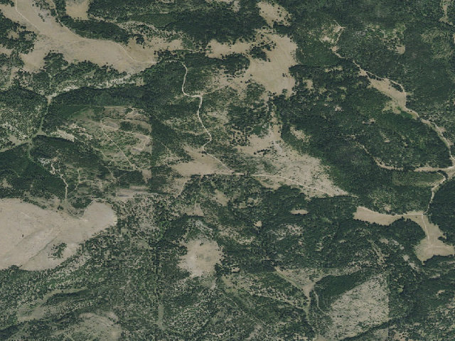 Aerial image of Miller Gulch-831-01