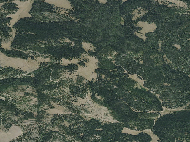 Aerial image of Miller Gulch Rd 831-11