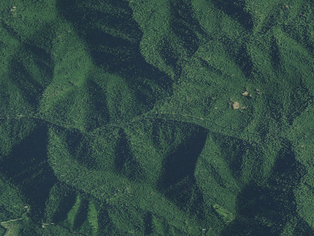 Aerial image of Mineral Campground