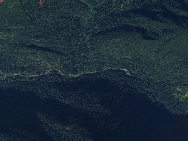 Aerial image of Mineral Park