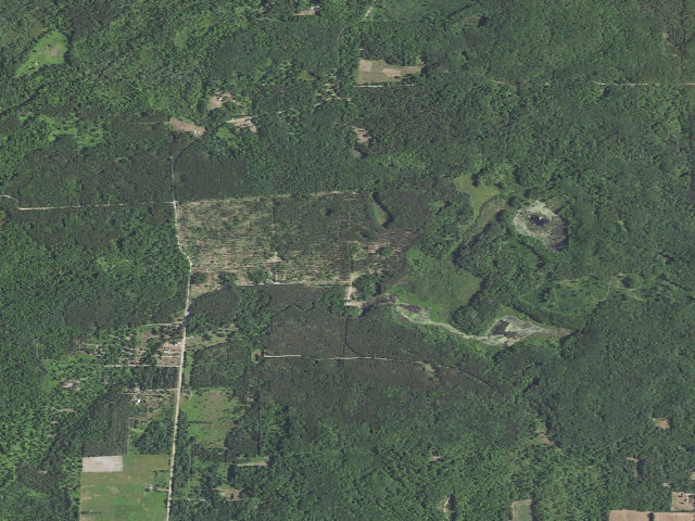 Aerial image of Minnie Pond Campground