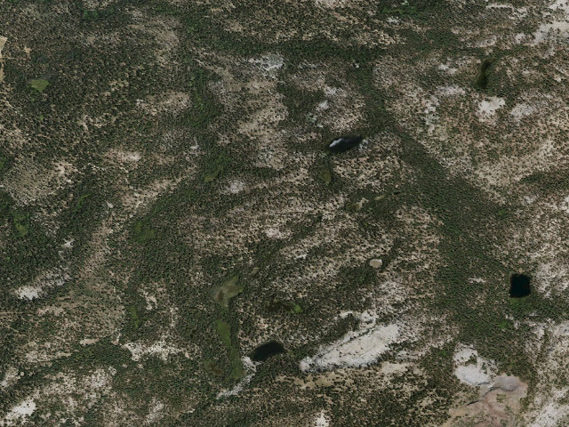 Aerial image of Mirror Camp