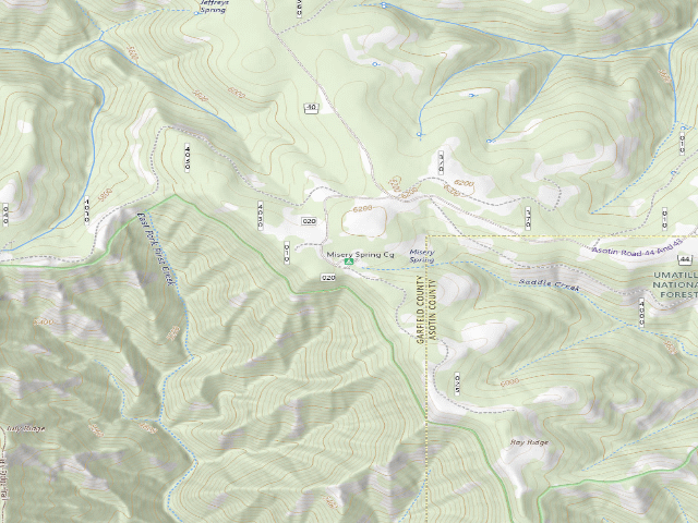 USGS topographic map of Misery Spring