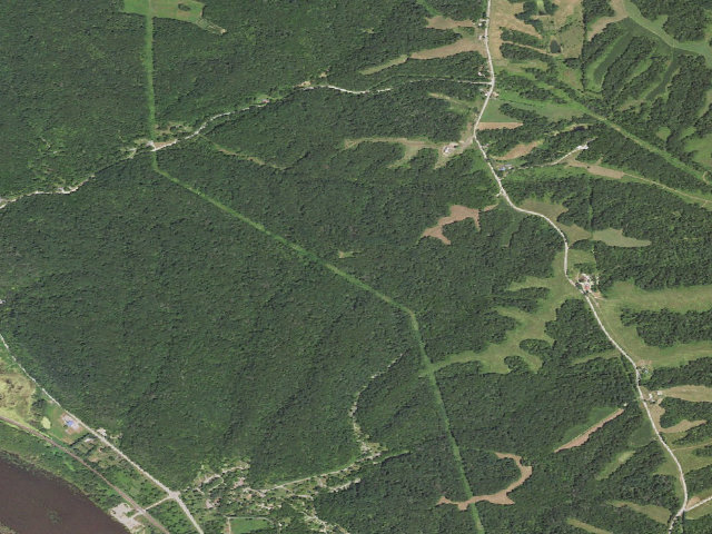 Aerial image of Mississippi Palisades State Park - Primitive Camping