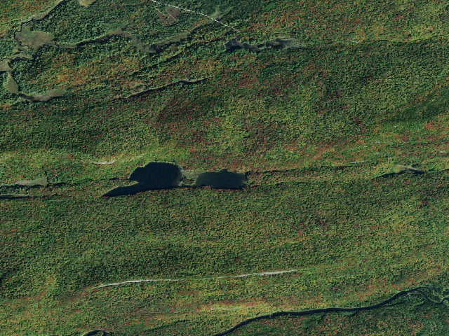 Aerial image of Mitchell (Moose River Plains Wild Forest)