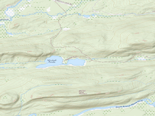 USGS topographic map of Mitchell (Moose River Plains Wild Forest)