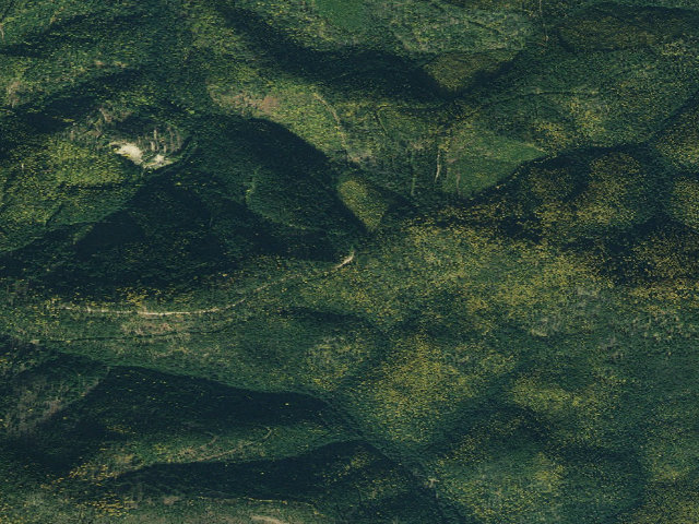Aerial image of Mm 11.8; Fp Disp Site #286