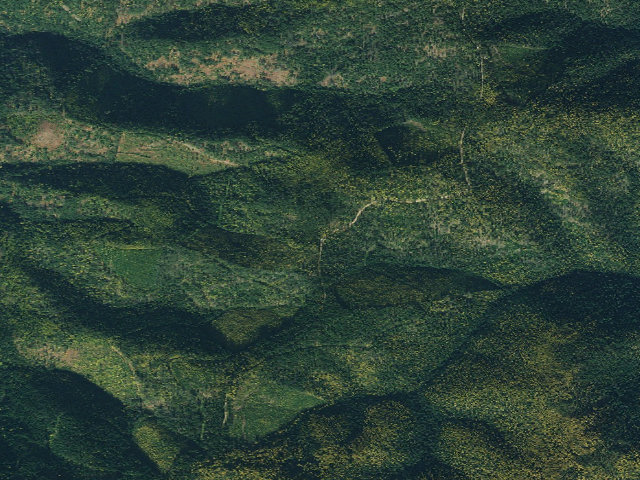 Aerial image of "Mm 13.1, Fp Disp Site #284"