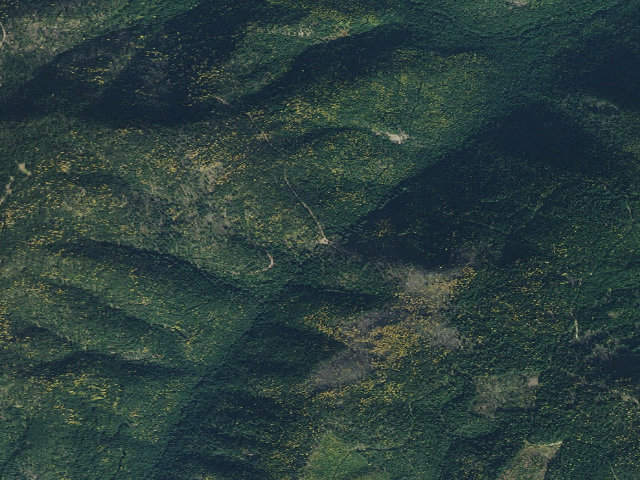 Aerial image of Mm 34; Fp Disp Site #264