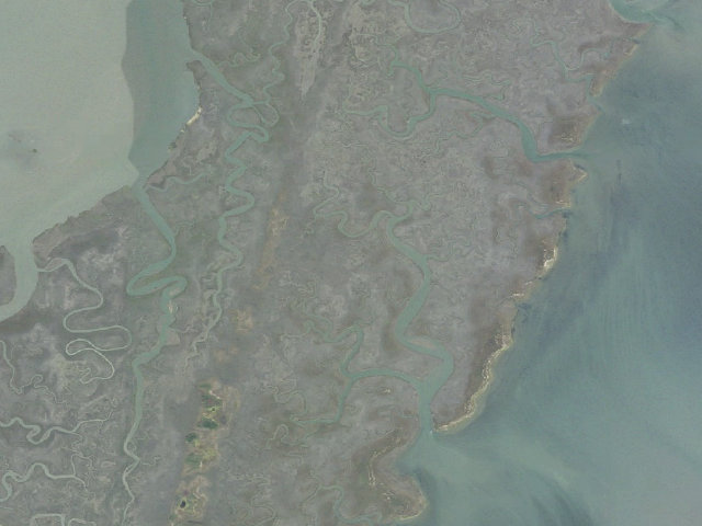 Aerial image of Mockhorn Island WMA