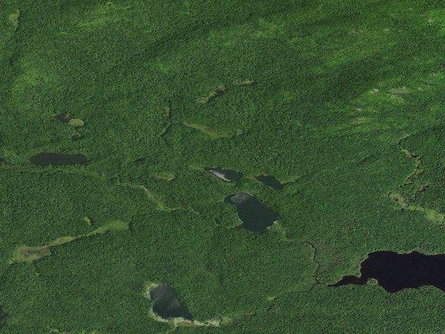 Aerial image of Monday Pond Campsite (Saint Regis Canoe Area)