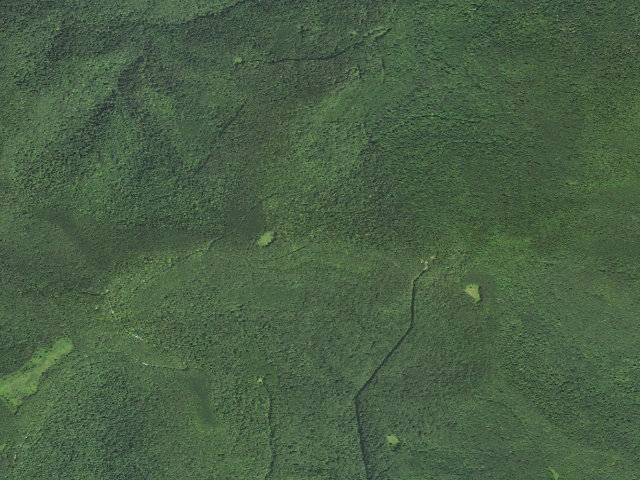Aerial image of Monongahela National Forest